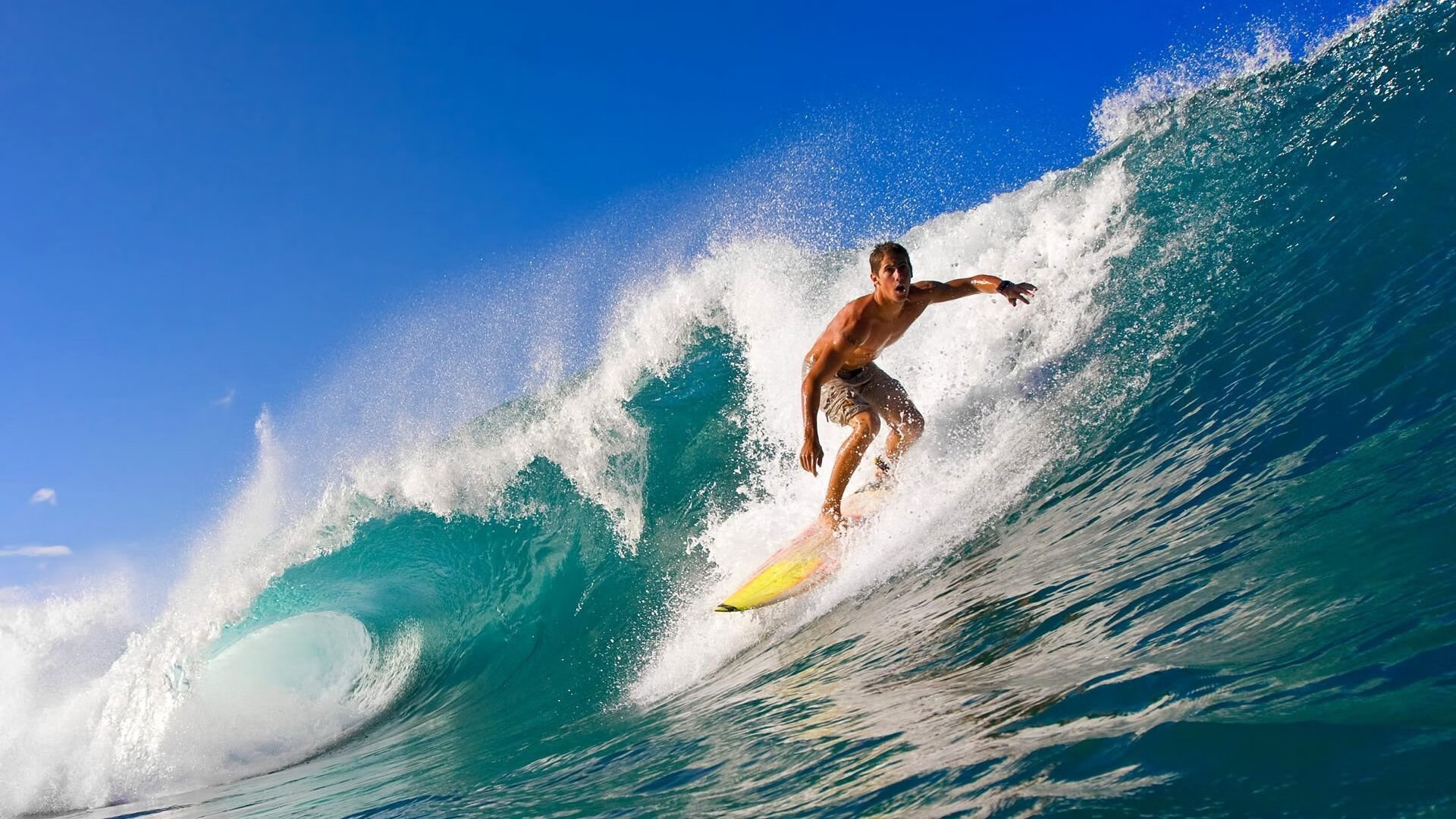 米兰体育网页版-2024年国际乒联混合团体世界杯：瑞典队如何脱颖而出，瑞典世界乒乓球赛