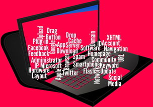 米兰体育登录-CBA开展球员社交媒体管理课程提高职业素养，运动员社交媒体