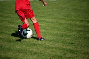 米兰体育app-国脚待遇结构调整引导更多球员留在国内发展，国家队国脚